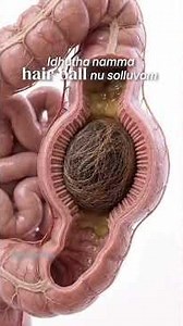 🐱🩺 CAT HAIRBALLS: WHEN ARE THEY NORMAL?