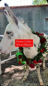 614 reactions · 11 comments | First time making a flower crown… for a...