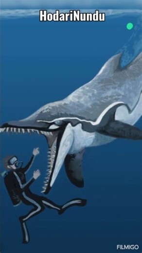 The Prehistoric Dolphin with Shark Teeth | Squalodon