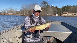 1.7K views · 58 reactions | February can be a challenging time of the...