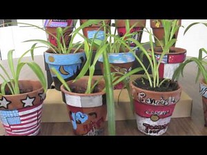 STEAM projects 2014