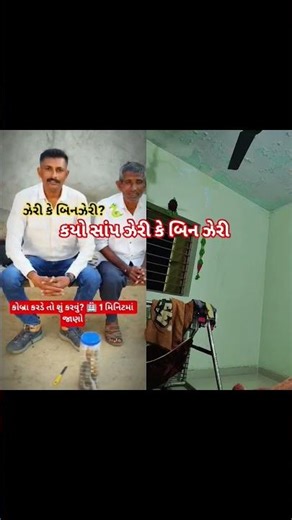 ઝેરી કે બિનઝેરી? સાંપ વિશે જરૂરી જાણકારી 1 મિનિટમાં | Forest P B Ahir