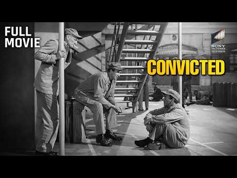 Convicted | Full Movie | Starring Glenn Ford, Broderick Crawford & Dorothy Malone
