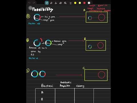 Insertional inactivation NEET biotech class 12