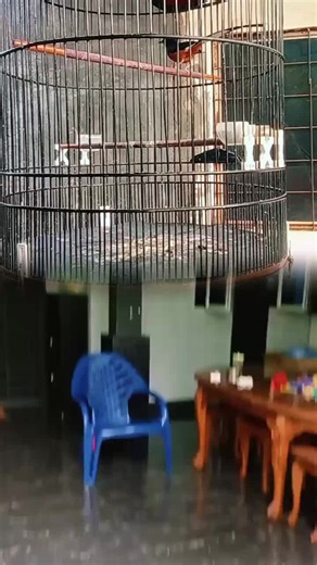 yadi (@bodil25)’s videos with original sound - SULONG TT