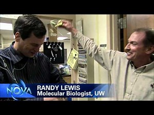 NOVA's 'Making Stuff' Explores Spinning of Steel-Strength Spider Silk