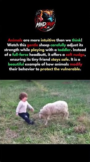 Nature's Most Gentle Moment! #shorts