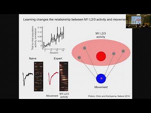 "Motor Cortex Circuits for Motor Control and Learning" - GT Neuro Seminar Series