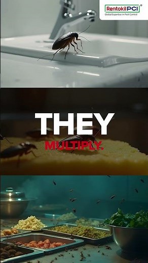 GSS 4D: Ultimate Cockroach Control – Stop Infestations Now!