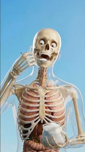 30日間砂糖をやめるとどうなる？