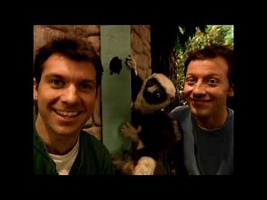 Zoboomafoo S01E04 Whos In the Hole; featuring squirrels, owls, skunks, horses, dogs and more!