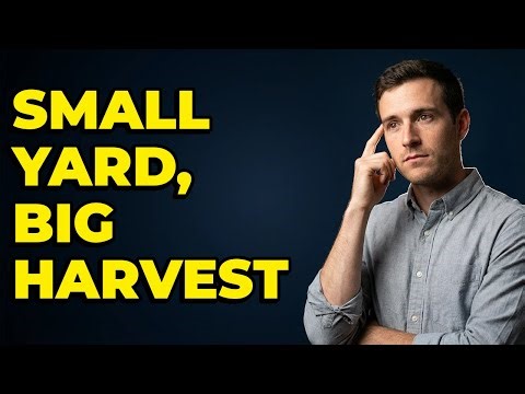 How to create an edible landscape in a small yard?