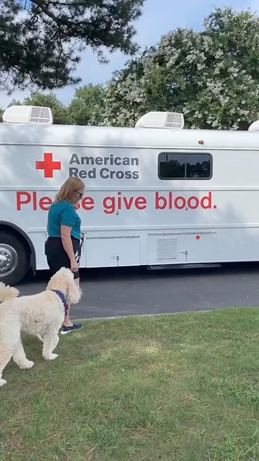 3.2K views · 25 reactions |  George’s Blood Donation Adventure: A...