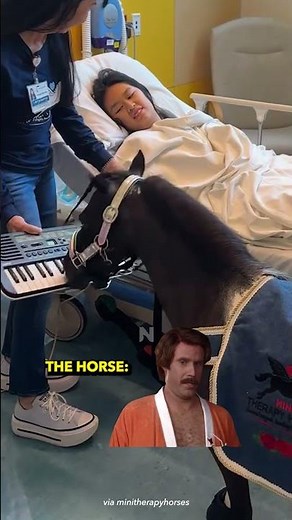 Therapy horse wakes up kids from anesthesia by smashing keyboard at children’s hospital