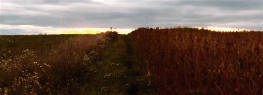 Табачка #kanekiken