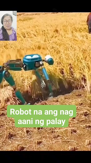 524K views · 1.2K reactions | Robot na ang nag aani ng palay #harvest #rice #robot #robotics #hightechnology #hightech | Shirley Chavez Mendoza | Facebook