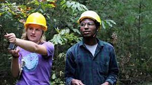 5  Best Forestry Schools in the World (FAQs, Career, Degree) | 2023