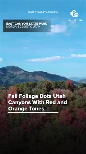 Red and orange leaves dotted parts of the East Canyon State Park, in Utah’s Morgan County, as fall slowly settled on Saturday, September 12. Mesmerizing drone footage from Scott T Taylor shows the fall shades coloring East Canyon Road. “The road through the Utah canyons are starting to pop with fall colors,” he wrote on X. Fall foliage typically peaks in the region from mid-September to early October, according to Visit Utah.