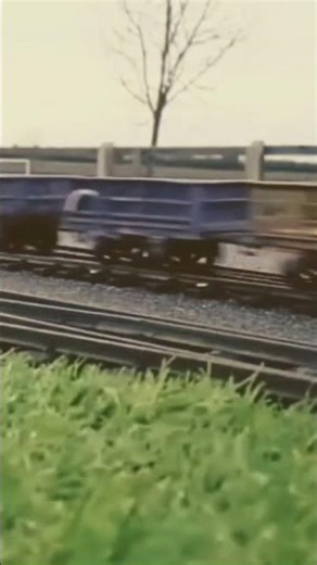 16mm scale garden railway.