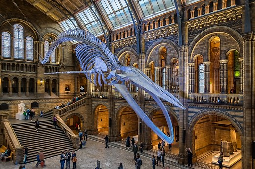 Fascinating And Mostly Free Museums In London To Visit