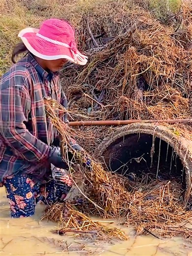 Satisfying Water Flow from Recently Unclogged Culvert