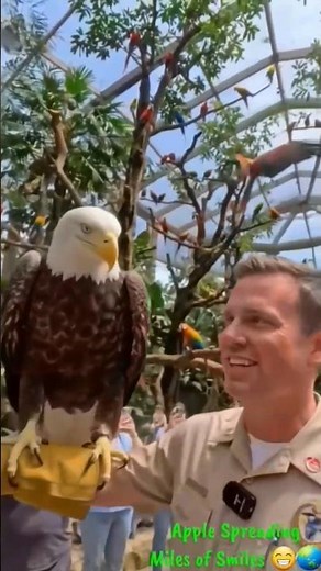 Zoo trip #zoo #animals #wildlife #wildanimals #trip #shorts #nature #naturelovers #foryou #fyp #yt