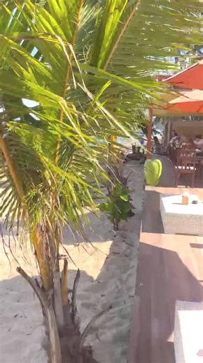 Experience the epitome of island serenity at Samui Buri Beach Resort. Contact us: Facebook: m.me/samuiburi rsvn@samuiburi.com 6677-953150-1 Hotel 6677 447275, 66 612427679 Line: https://lin.ee/hzms7hr Map: https://goo.gl/maps/6cv5MhdbByonvZCY6 #staycation #Privatebeach #Poolvilla #Quitebeach #kohsamuithailand #RelaxBeach #samuiburi | Samui Buri Beach Resort