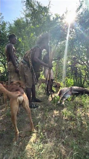 Primitive Hunting: Hadzabe Tribe Captures Antelope in the Wild