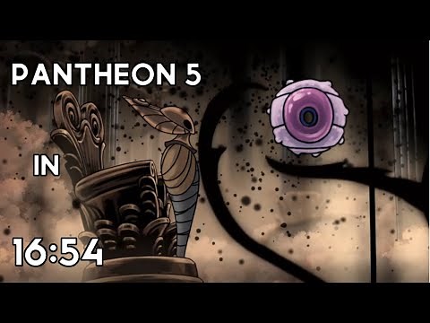 Hollow Knight Speedrun - Pantheon 5 in 16:54 (World Record)