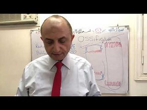 Bone ossification part 2