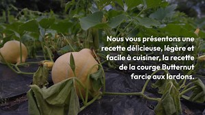 Butternut farcie aux lardons