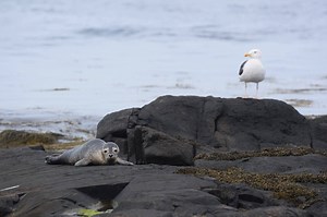 Mission - Seacoast Science Center