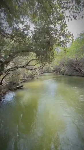 Taijiang National Park Tainan #taiwan #scenery #relaxing