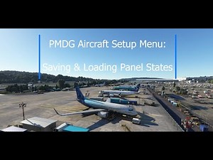 PMDG 737 for MSFS 011: Panel States