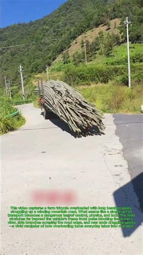An Overloaded Bamboo Truck Running on A Mountain Road: A Farm Tricycle Heavily Loaded
