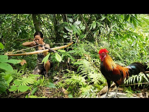 Persevering in Hiding Under the Bushes - Shooting Wild chickens/ Bushcraft & Survival Part 7