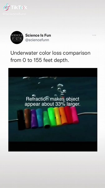 Science Is Fun on TikTok