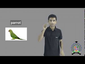 parrot (sign 1)