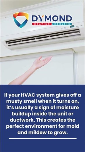 Why does the HVAC system smell musty? #hvacservice #heatingandcooling #indoorairquality