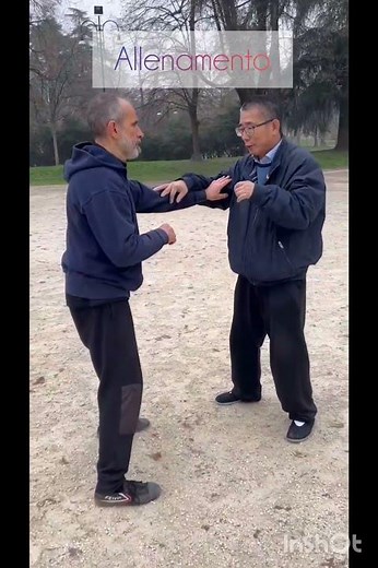 #artimarziali tradizionali cinesi Maestro Xu Zaiguang, #kungfu #taichipertutti #taichiprincipianti