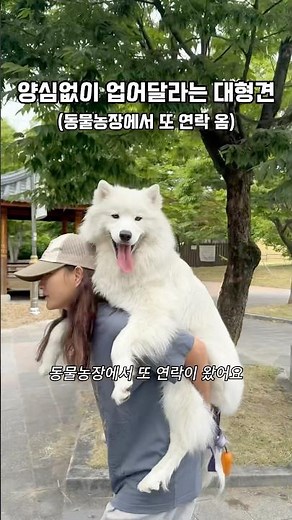 누누와 윌럼프 현실판