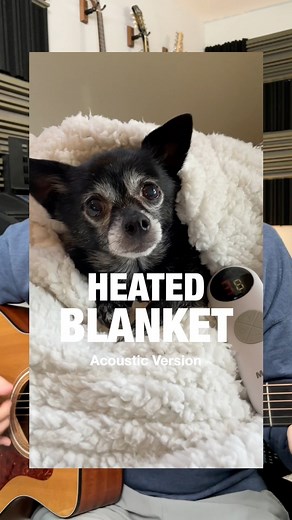 Cozy puppy ✨ | Puppy Songs