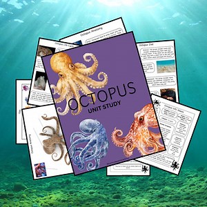 Octopus Unit Study | 54 Page Homeschool Nature Study | Classroom Learning Pack |