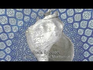 Llibre Vermell Spain 14 th c.: Stella splendens