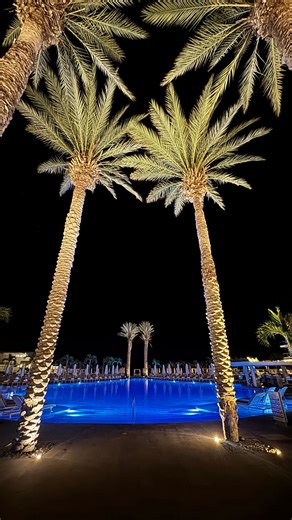 Ruby • fitness | travel | humor on Instagram: "It’s me, I’ll take a first class ticket any day over a new pair or shoes or designer 😍 #travelmoreworryless #coupleswhotravel #travelhumor #fibi #fyptravel"