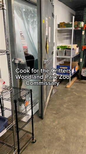 Monty, Fern and Juniper were treated to some especially fabulous Pride-themed enrichment! Love lynx us all 🌈 #seattle #woodlandparkzoo #pnw #cooking #cookwithme #animals #pride #pridemonth #loveislove | Woodland Park Zoo