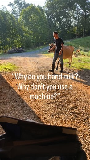 13K views · 18K reactions | Machine vs Hand milking Truthfully I am...