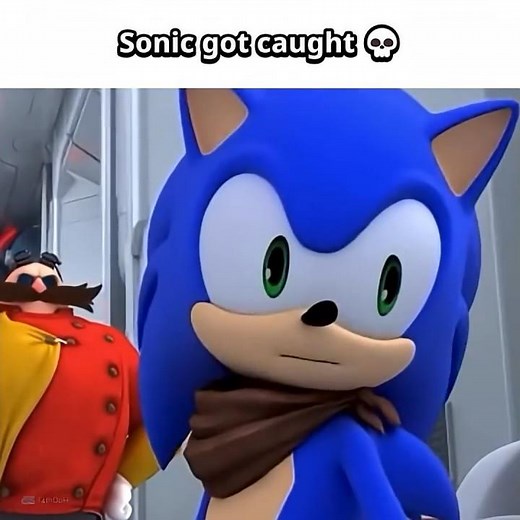 Sonic got CAUGHT 💀 #sonic #memes