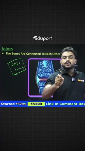 Prediction❌ Confidence ✅