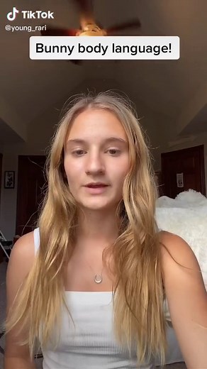 What your bunny’s body language means! #ProveWhatsPossible #ActingChallenge #AirheadsDitchChallenge #fyp #foryou #foryoupage